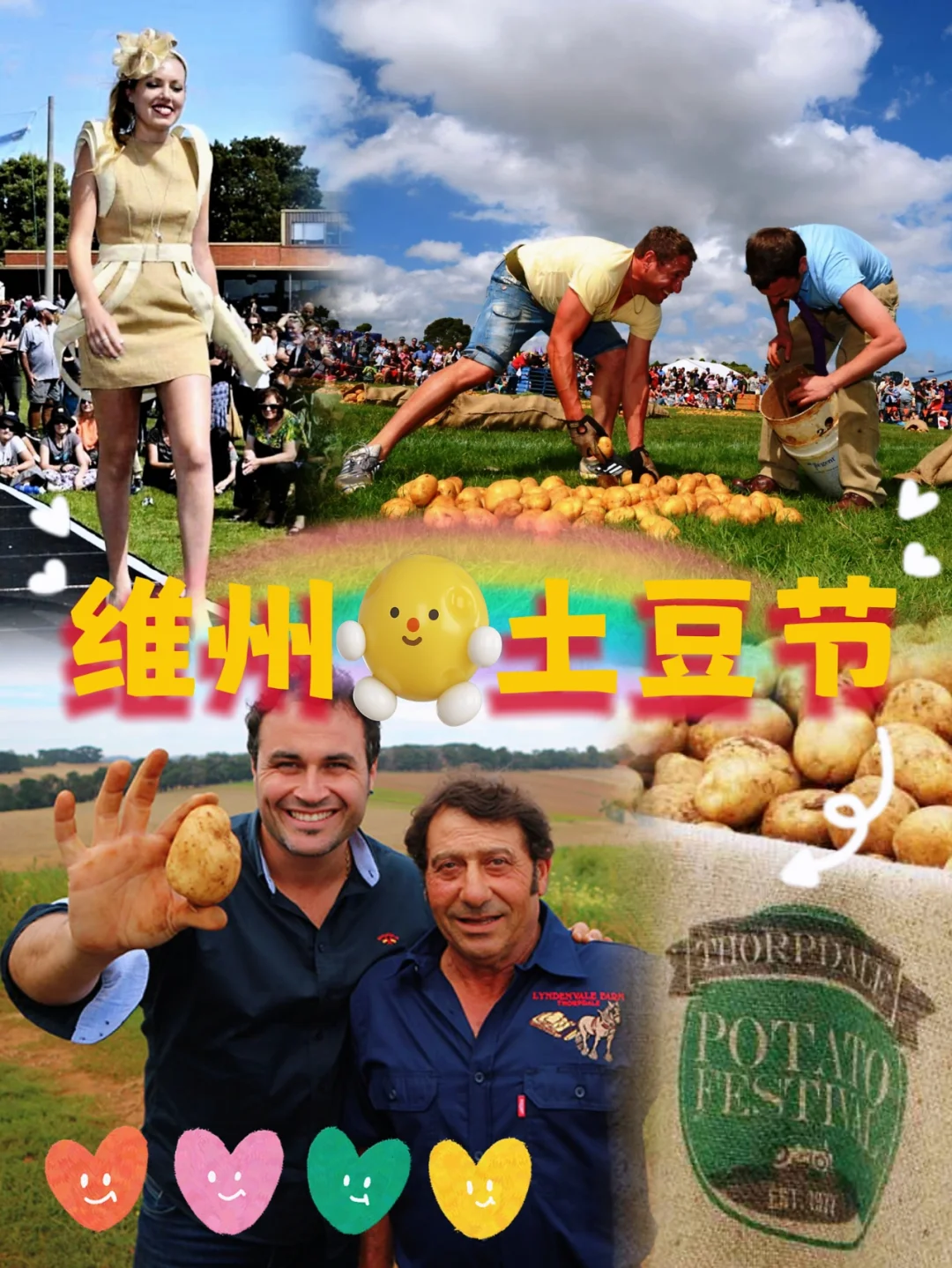 potappapp土豆苹果版potato官方下载苹果版下载-第1张图片-太平洋在线下载